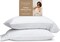 Pillowcase Set of 2, White Super Soft Pillow Cases Queen, Pillow Covers, Luxury Spa, Breathable, Hotel Quality Pillow Cases